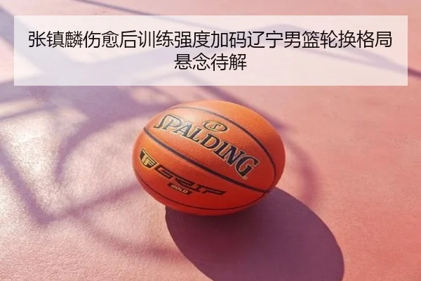 张镇麟伤愈后训练强度加码辽宁男篮轮换格局悬念待解
